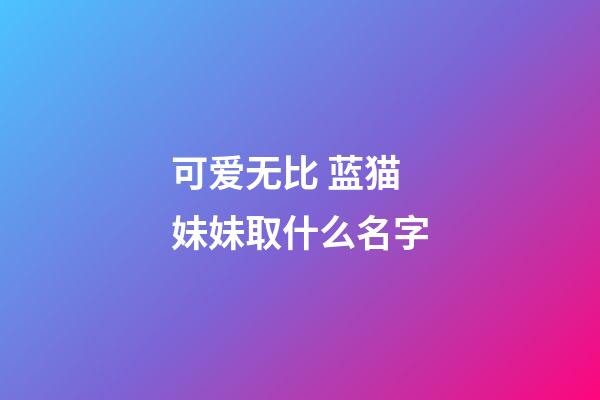 可爱无比 蓝猫妹妹取什么名字
